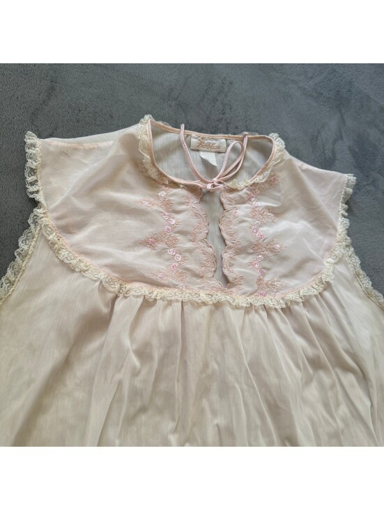 Barbizon Other - Barbizon Pink Nightgown Sheer Chiffon Embroidered Lace Cottagecore M Vtg